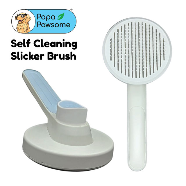 Papa Pawsome Self Cleaning Slicker Brush - Oval