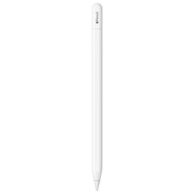 Apple Pencil USB Type C - Buy at ₹7299 Online | Instant Delivery