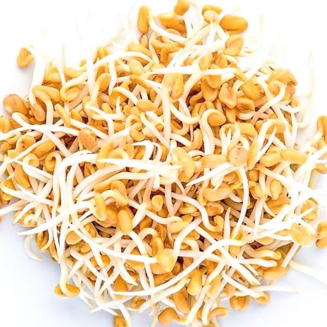 Methi Sprouts