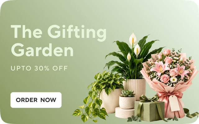 plant gifting