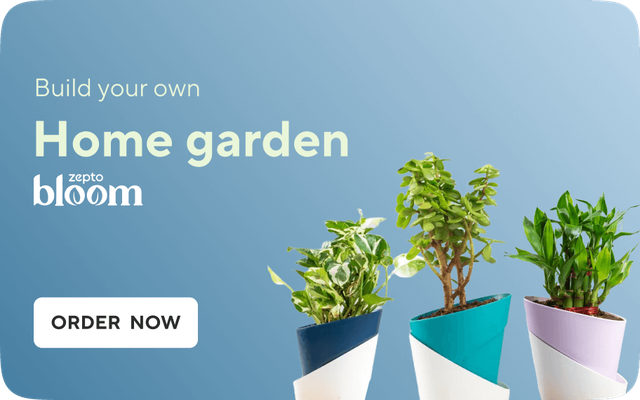grow your home garden
