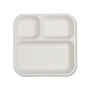 Disposable Plate