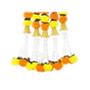 Toran