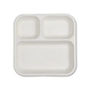 Disposable Plate