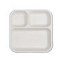 Disposable Plate