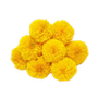 Flowers & fruits