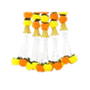 Toran