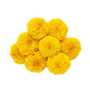 Flower & leaves