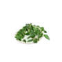 Curry Leaves & More