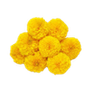Flowers & leaves