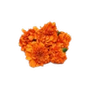Flower Petals