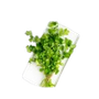 Vegetables