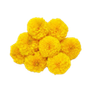 Only Sweet Corn