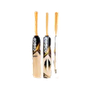 Cricket Kit