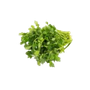 Fresh vegetables