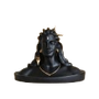Shivling & idols