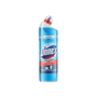 Toilet Cleaning