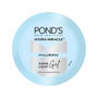 Hyaluronic Acid