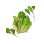 Leafy vegetables