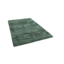 Rug & Carpet