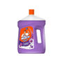 Surface cleaner