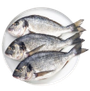 Fish & Sea Food