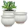 Pots & Planters