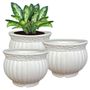 Pots & Planters