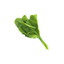 Green & Clean