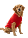 Pet Care Gifting