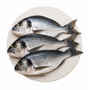 Fish & Sea Food