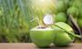 Tender Coconut