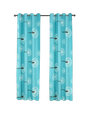 Curtain & More