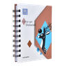 Diaries