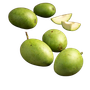 Mango & Leaves