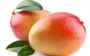 Fresh Fruits