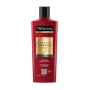 Shampoos & Conditioners