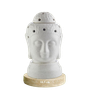 Diffuser Oils