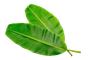 Betel leaves & banana leaves