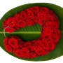 Garland & Torans