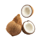 Coconut & Fruits