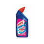 Toilet Cleaners