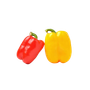 Vegetables & Fruits