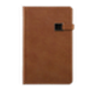 Diaries
